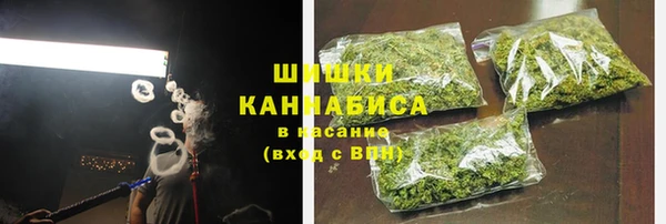 СК Алексин