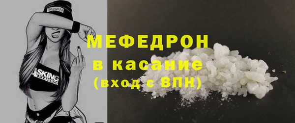 СК Алексин