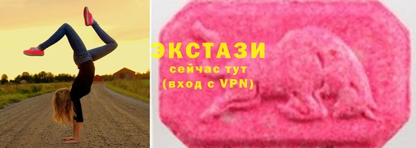 СК Алексин